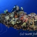 wreck_numidia_bro_b_ni_h_0365_egy0840.jpg